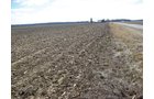 Property photo 12 - 127 Acres Offered in 4 Tracts